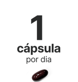 1 cápsula por dia